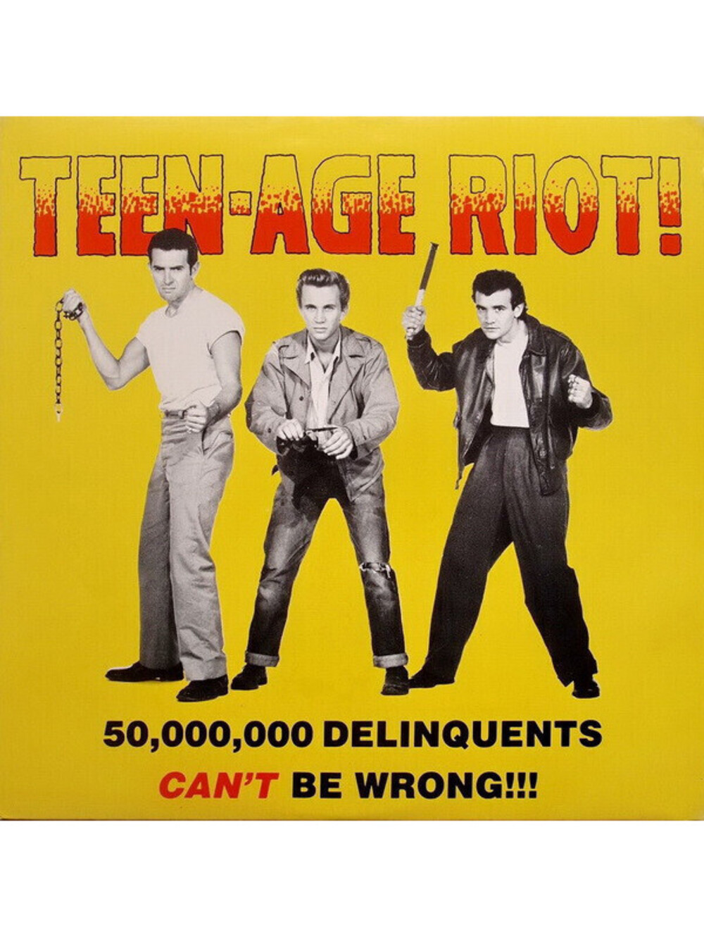 Teen-Age Riot! 50,000,000 Delinquents Can't Be Wrong LP Vinyl Record rockabilly
